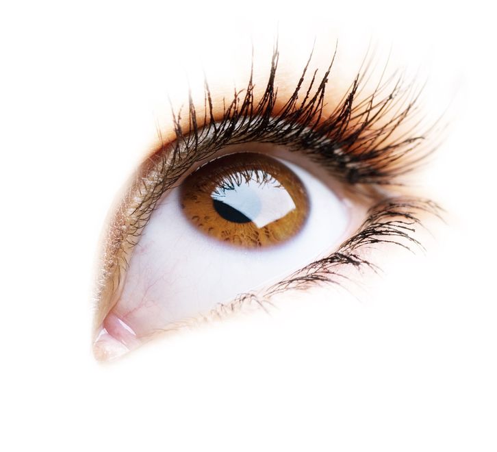 Degenerative Eye Disease and Antioxidants